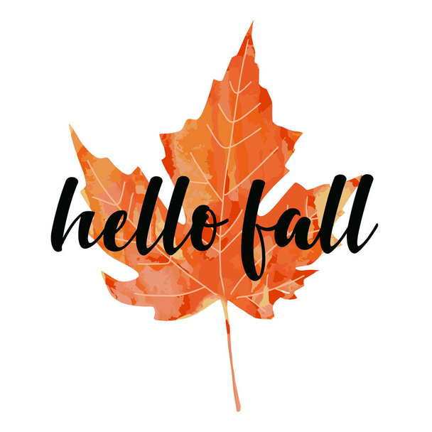 Beautiful calligraphy lettering text - Hello Fall. Bright orange red watercolor artistic maple leaf vector illustration isolated on white background. Autumn welcoming greeting poster design. - Vector, Image