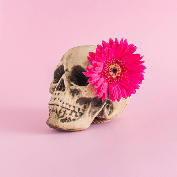 Creative Skull with pink flower against pink background. Minimal Halloween fashion concept. - Photo, image