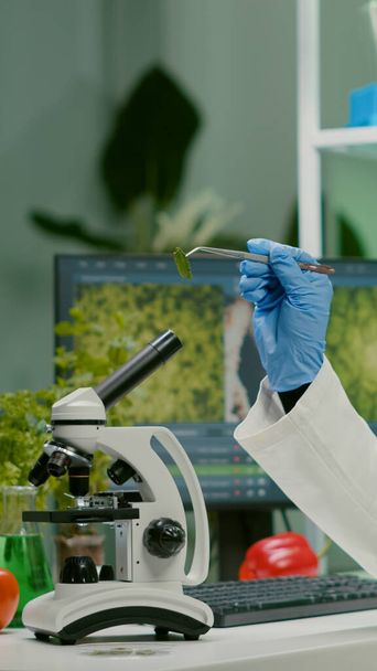 Mulher farmacêutica olhando para amostra de folha orgânica - Foto, Imagem