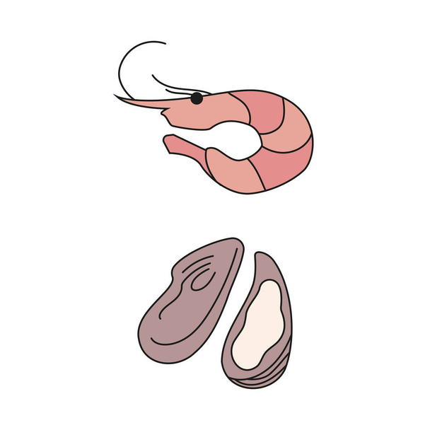 Set di frutti di mare. Gamberetti e ostriche. Illustrazione vettoriale piatta isolata su sfondo bianco - Vettoriali, immagini