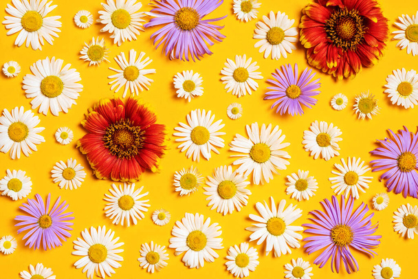 Bright background with white, red and blue chamomiles. Daisy on yellow background. Flat lay - Фото, изображение