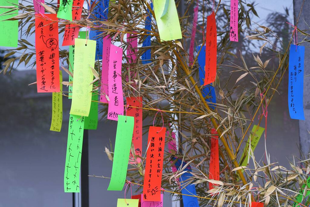 Japans Tanabata Festival wordt gehouden op 7 juli elk jaar, Mensen schrijven hun wensen op kleurrijke stroken papier genaamd tanzaku. Na het schrijven van hun wensen, hangen ze tanzaku op het bamboe gras. - Foto, afbeelding