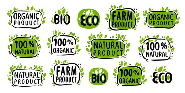 Natural, organic symbol. Set of stickers, labels, tags. Eco bio with leaves icon - Vektor, Bild
