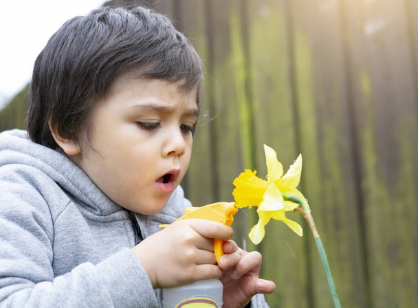 4-jähriger Junge mit Sprühflasche auf Narzissen gießen, Kind hat Spaß bei der Gartenarbeit, Aktive Kinderaktivitäten im Garten, Ein Junge sprüht gelbe Blumen an, Gartenkonzept für Kinder - Foto, Bild