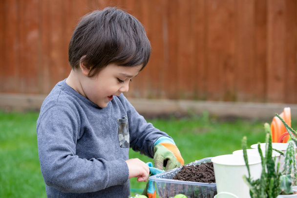 Χαριτωμένο μικρό αγόρι φορώντας γάντια κήπου ετοιμαστείτε για φύτευση κάκτων στον κήπο, Ενεργό παιδί αγόρι διασκεδάζοντας παίζοντας λίγο κηπουρός στον καλοκαιρινό κήπο, Υπαίθριες εποχιακές δραστηριότητες για τα παιδιά - Φωτογραφία, εικόνα