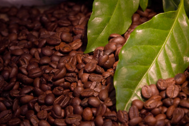Coffee bean and leaves - Zdjęcie, obraz