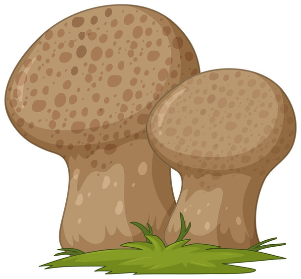 Style de dessin animé champignon isolé sur fond blanc illustration - Vecteur, image