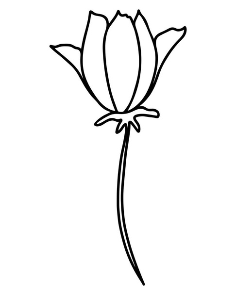 Single flower, hand drawing vector illustration. Flower with blossoming petals, black outline. Minimalistic botanical element. - Vektori, kuva