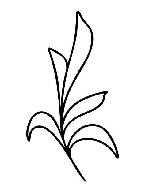 Branch with sheets, hand drawing vector illustration. Single deciduous branch, field grass, black outline. Minimalistic botanical element. - ベクター画像