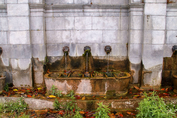 Fountain next to Pont sainte marie (англ.: мост Святой Марии) in Oloron-Sainte-Marie in France. Заброшенный фонтан с опавшими листьями и растениями, растущими в трещинах булыжника. - Фото, изображение