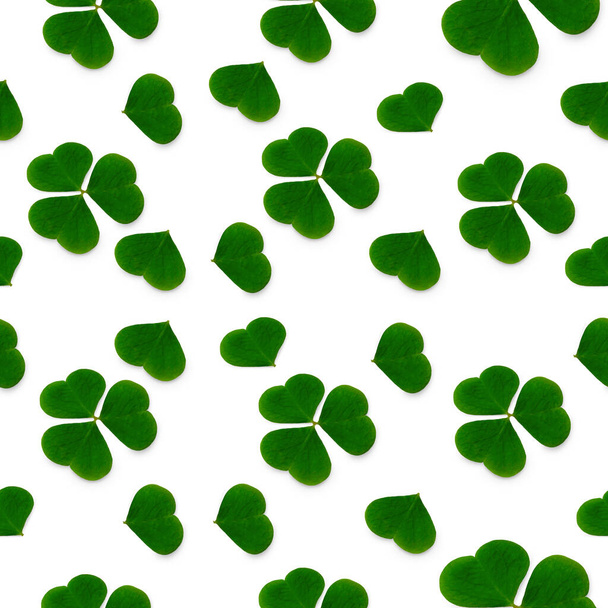 seamless pattern of clover leaves, natural background with green leaves - Photo, Image