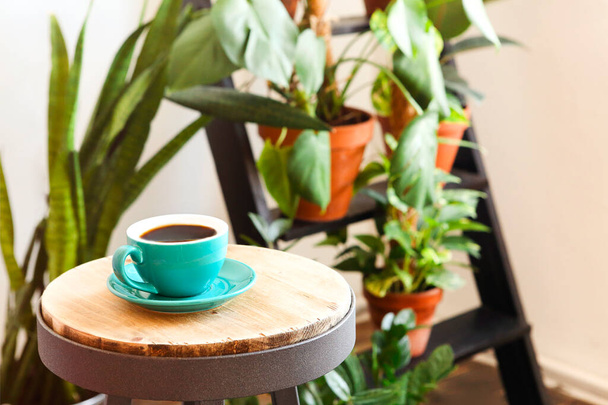 Beker van vers gezette koffie geplaatst op ronde tafel in de buurt van ladder met potplanten in de ochtend thuis - Foto, afbeelding
