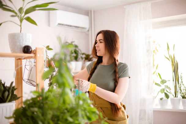Junge Frau mit Zöpfen lächelt und kümmert sich um Topfpflanzen beim Gärtnern am Wochenende zu Hause - Foto, Bild