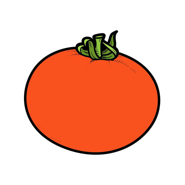 Big juicy tomato color variation for coloring page isolated on white background - Διάνυσμα, εικόνα