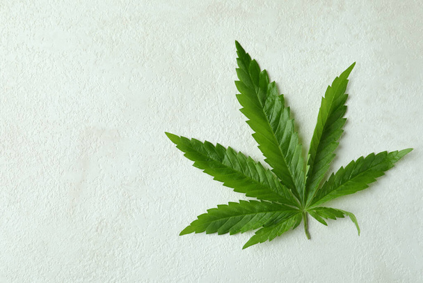 Cannabis-Blatt auf weißem, strukturiertem Hintergrund, Platz für Text - Foto, Bild