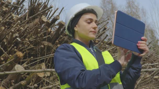 枝の山の近くのタブレットを使用して女性の林業 - 映像、動画