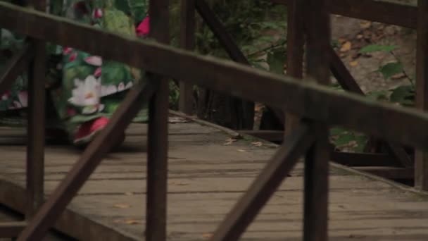 若い女性がゆっくりと木製の橋を渡って歩く. - 映像、動画