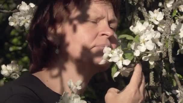 Közelkép egy hölgyről, aki almafa illatát érzi egy napsütéses napon.. - Felvétel, videó