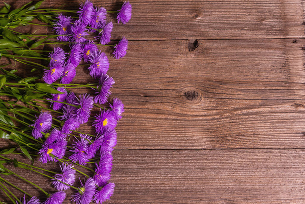 Фиолетовые декоративные маргаритки на деревянном фоне. Цветочная творческая концепция, плоский узор, место для текста - Фото, изображение