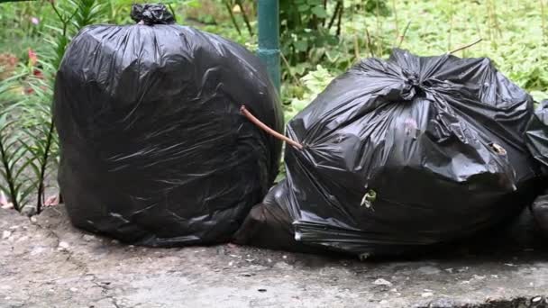 czarne plastikowe torby pełne śmieci są na ulicy, ruch kamery od prawej do lewej - Materiał filmowy, wideo