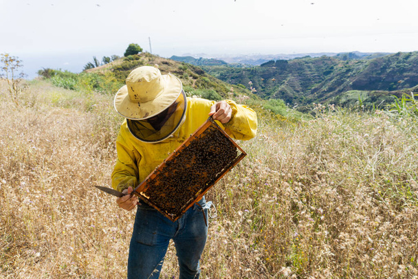 Elinde arı kovanıyla bir çayırdaki bir arı yetiştiricisinin portresi. - Fotoğraf, Görsel