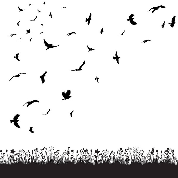 vetor, isolado, um bando de pássaros voa na natureza - Vetor, Imagem
