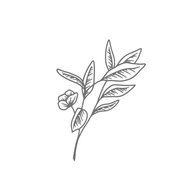 disegno linea di fiore. vettore illustrazione minimalista disegnato a mano. Logo - Vettoriali, immagini