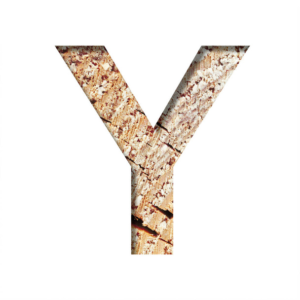 Wood cut font. The letter Y cut out of paper on the background of a cut of a tree with cracks and shavings. Set of decorative natural alphabet fonts. - 写真・画像