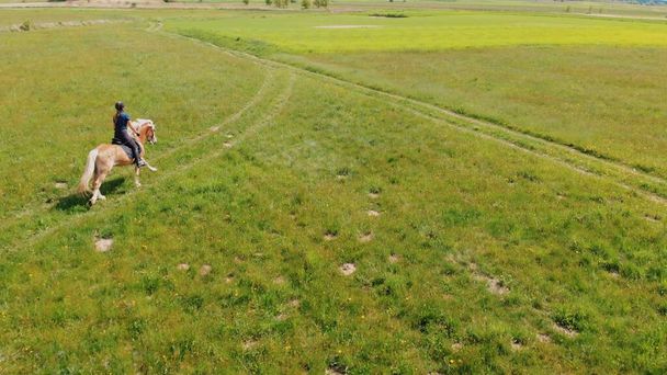 Női zsoké egy világos barna egy szőke sörény mozog a mezőn keresztül - Fotó, kép
