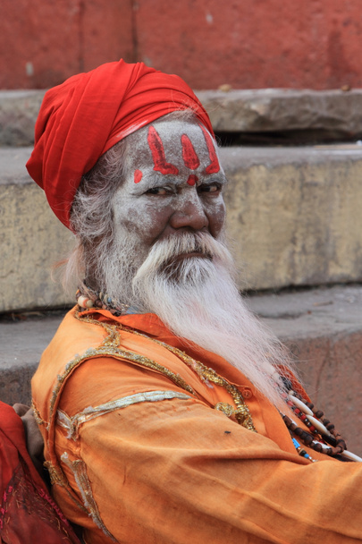 Ιερά sadhu - Φωτογραφία, εικόνα