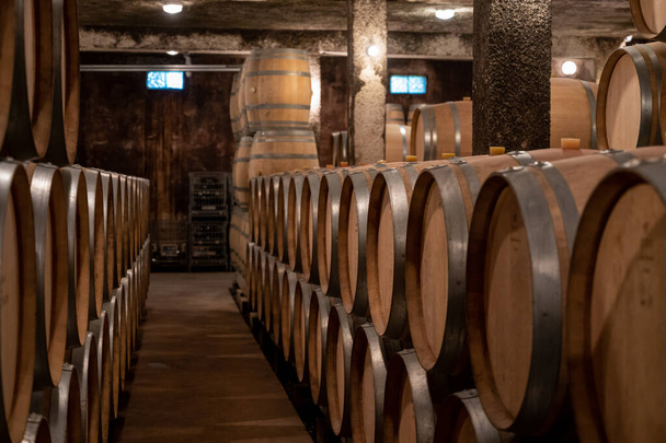 Conservazione per anni di vino rosso secco in botti di rovere nuove in grotte in Borgogna, ottenuto da uva pinot nero, costosa produzione vinicola francese - Foto, immagini