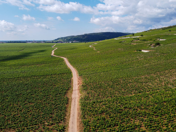 Yeşil Grand Cru ve Fransa 'nın Burgundy bölgesinde kırmızı ve beyaz Burgundy şarabı üreten Cote de nuits' deki Pinot noir üzüm bitkilerinin olduğu başlıca cru üzüm bağlarının Aerian görüntüsü. - Fotoğraf, Görsel