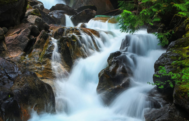 Voda padá v národním parku Severní kaskády - Fotografie, Obrázek