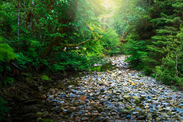 Gros cailloux dans le ruisseau à North Cascades forêt nationale - Photo, image