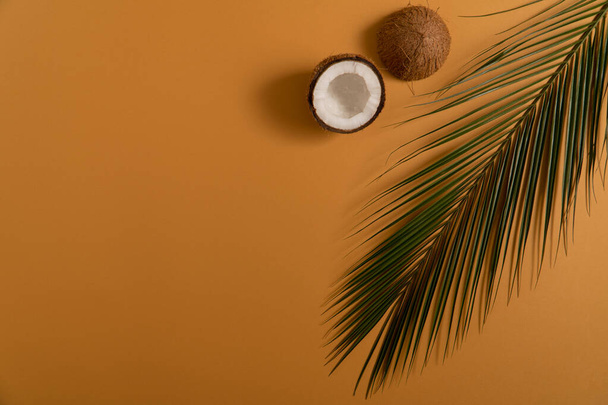 Coconut halves with green palm leaf on an orange-brown background copyspace - Foto, imagen