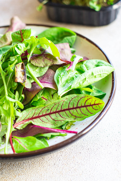 friss zöld saláta levelek egy tányéron az asztalon egészséges étel másolja tér élelmiszer háttér rusztikus. top view keto vagy paleo diéta vegán vagy vegetáriánus ételek - Fotó, kép