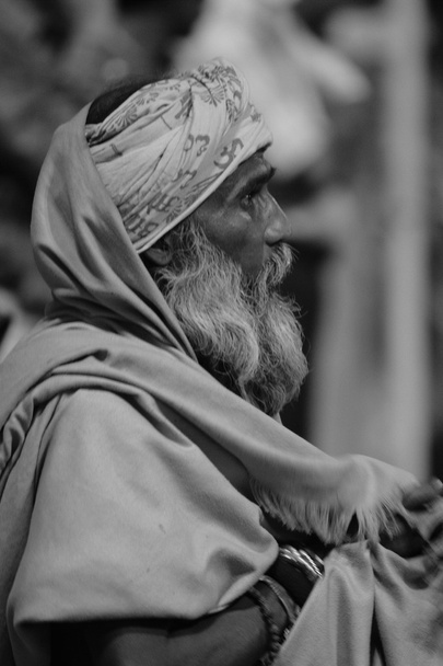 Holy Sadhu in India - Photo, Image