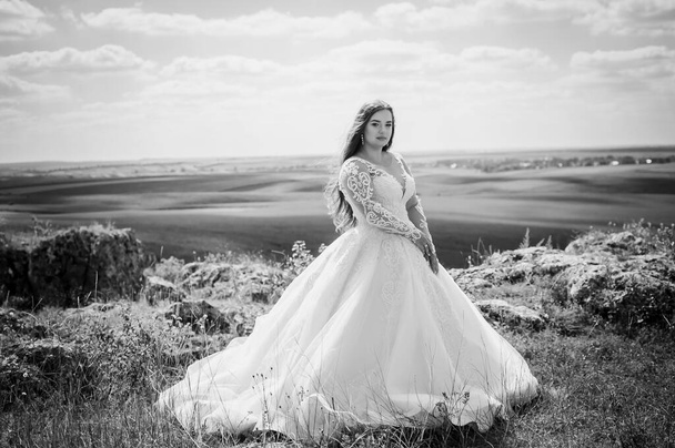 Una ragazza in un abito da sposa bianco si erge sullo sfondo di un bellissimo paesaggio - Foto, immagini