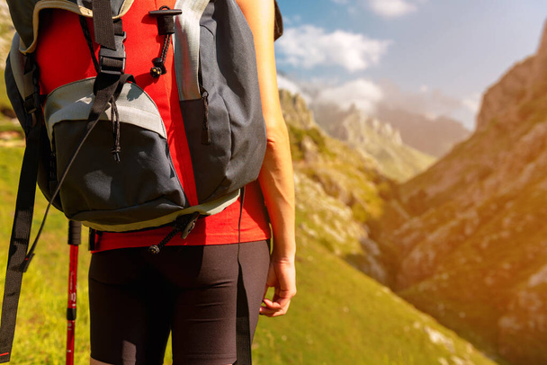 detail van rode rugzak wordt gedragen door onherkenbare wandelaar in een berg- en natuurlandschap. berguitrusting. - Foto, afbeelding