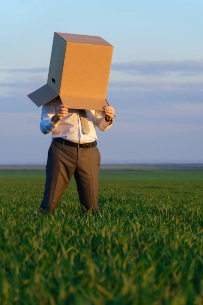 hombre de negocios pone su cabeza en una caja de cartón y posa en un campo de hierba verde - concepto de negocio - Foto, Imagen