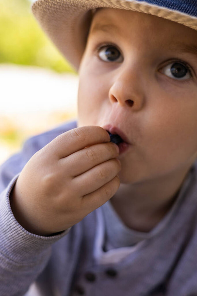 Little boy in stylish straw hat picks honeysuckle berry - Фото, изображение