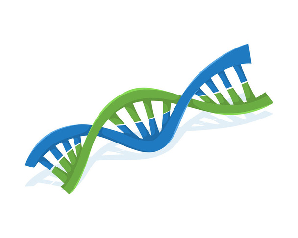 DNA logo symbol vector. Gen logo template - Vector, Image