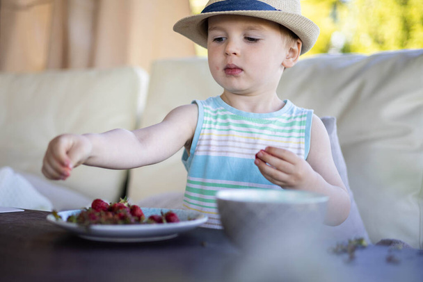 Cute baby boy eating fresh seasonal berries at outdoor summer terrace strawberry and blueberry - Photo, Image