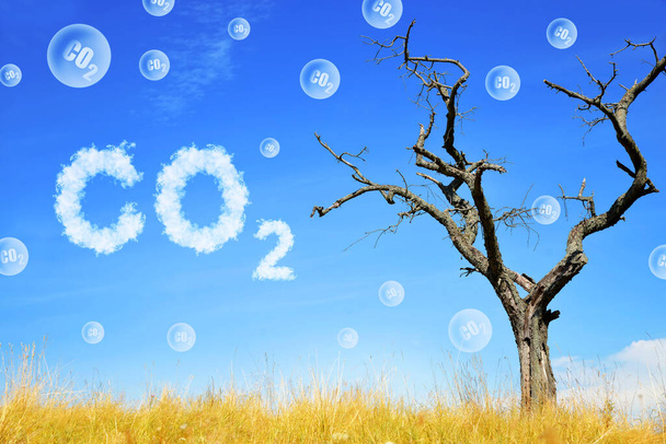 Árbol muerto y burbujas de CO2. Calentamiento global o cambio climático. Problemas ambientales. Cultivo de dióxido de carbono en la atmósfera. - Foto, Imagen