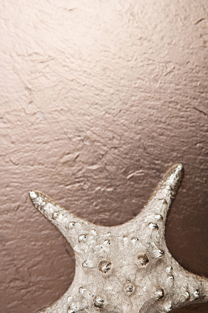 Dekoratif banyo yıldız balık - Fotoğraf, Görsel
