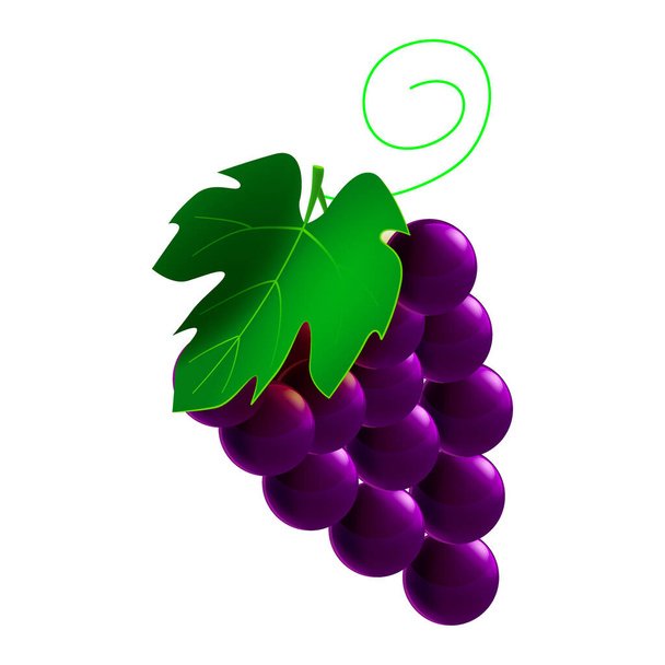 Winogrona dojrzałe, gałąź świeża organiczna, czarny kolor, ikona. Ilustracja wektora symbol ikony kreskówki - Wektor, obraz