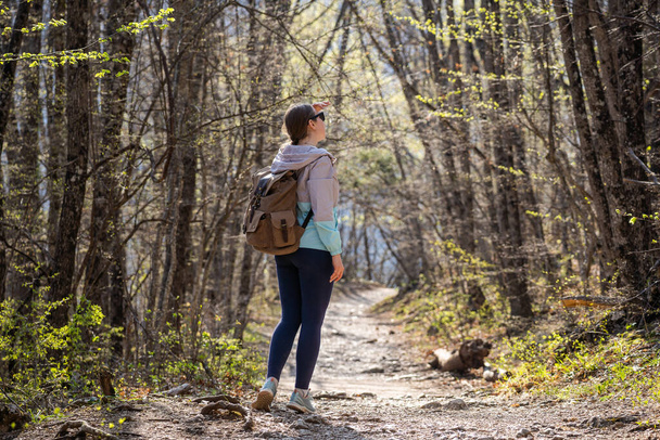 A woman traveler with a large backpack stands on a forest trail and looks at the trees around. - Foto, imagen