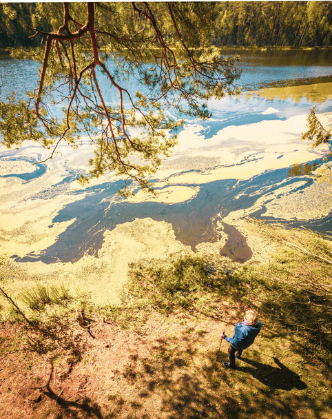 Vista de arriba hacia abajo mujer mayor de pie sosteniendo palos nórdicos y disfrutar de vista panorámica del lago en un día soleado hermoso. Textura y naturaleza Bienestar Concepto Fondo - Foto, imagen