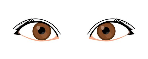 Beautiful, colorful eyes in anime (manga) style with sparkling light reflections. Bright isolated vector illustration. Cartoon Japanese eyes. - Vector, Image