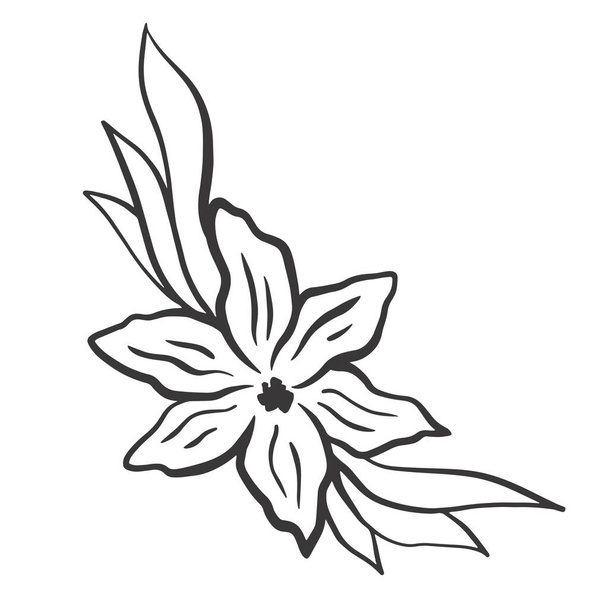 Silhouette of a flower with leaves, vector illustration. Corner decorative botanical element, stroke. Flower arrangement for design. - Vecteur, image